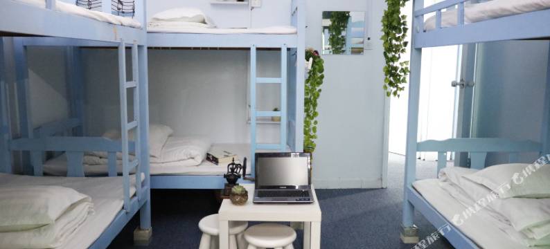 广州行走的家青年旅舍图片