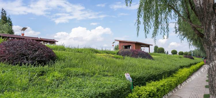 昆明滇池听涛家庭客栈图片