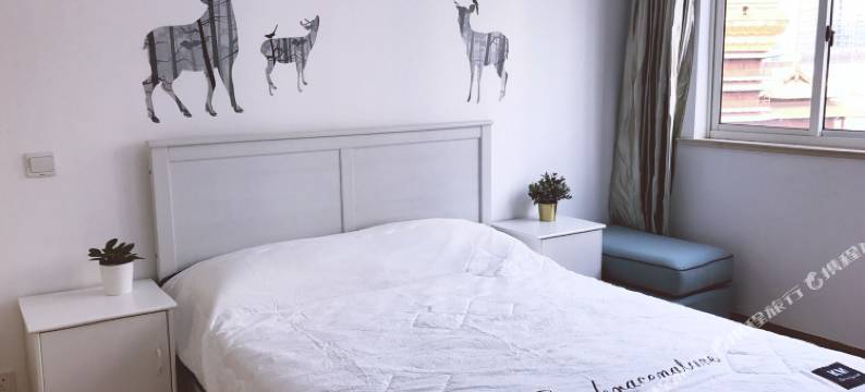 上海弄堂里13号线淮海中路清新Loft普通公寓(分店)图片