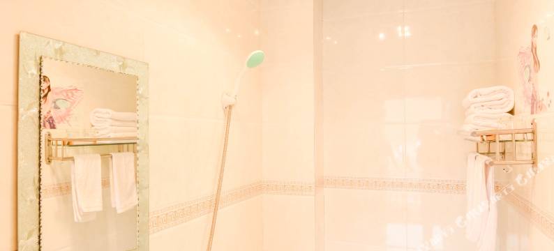 海螺沟杉树平木逸酒店图片