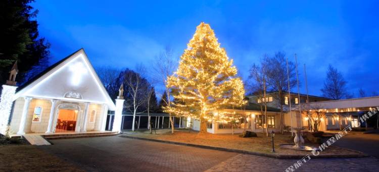 轻井泽町强罗酒店(Yutorelo Karuizawa Hotel)图片