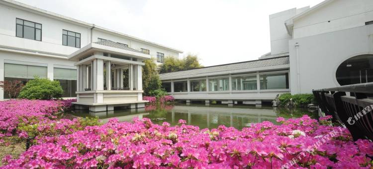 泰州春兰国宾馆(老街店)图片