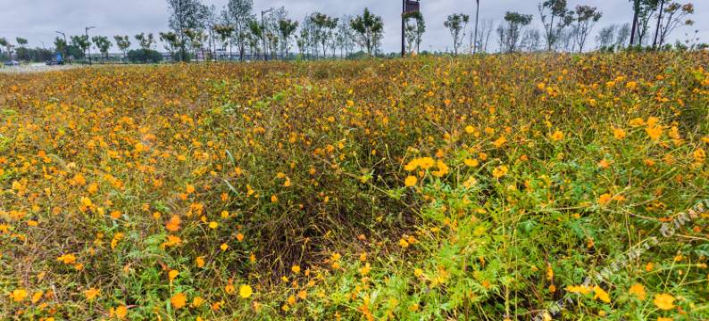 桐乡乡村度假之屋图片