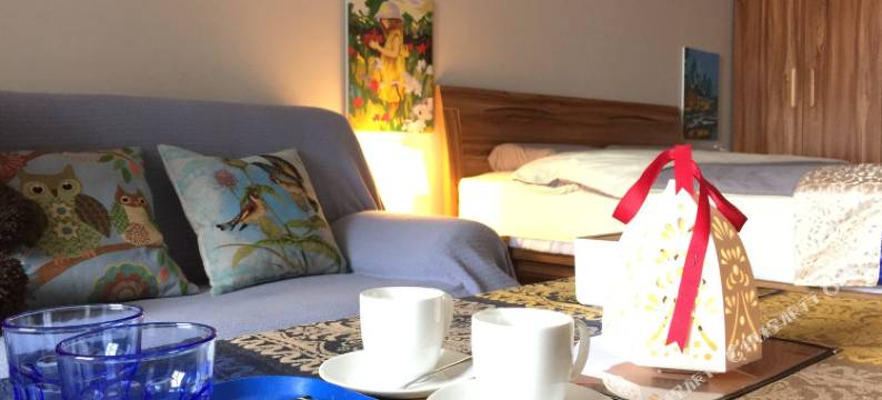 郑州乐乎美居普通公寓图片