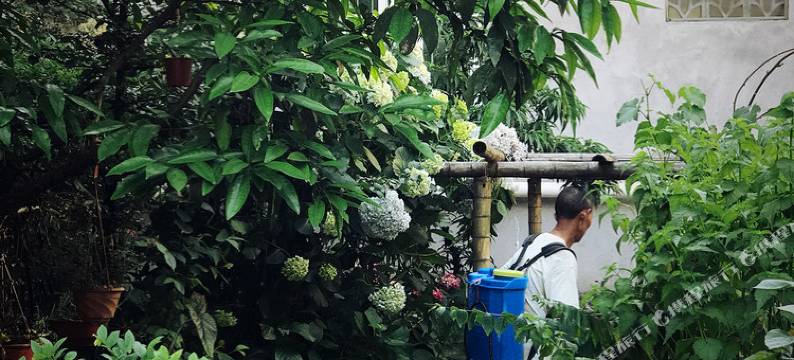 丽水云和梯田农家小院农家乐图片