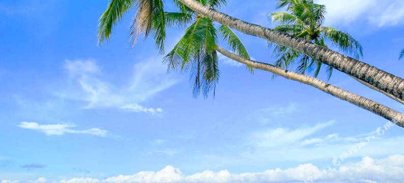 碧海蓝天沙滩酒店(Grand Blue Beach Hotel)图片