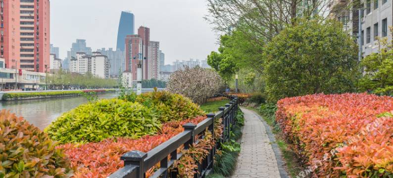 墨鱼の家公寓(上海隆德路店)图片
