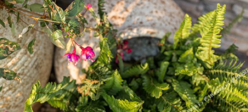 鼓浪屿魔庭别苑旅馆图片