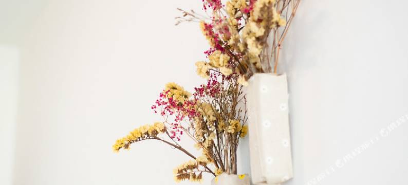 深圳比邻莲花山公园温馨安静民宿图片