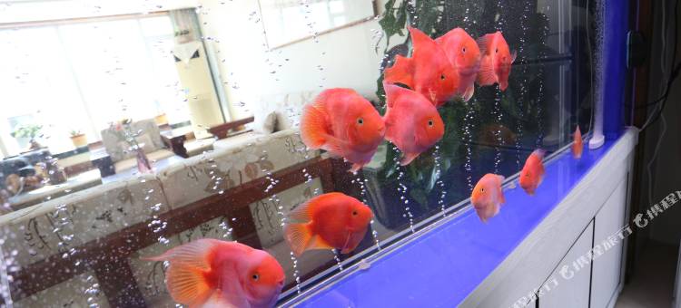 兴城海鲲别墅宾馆图片