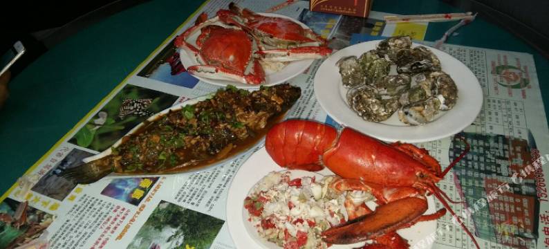 日照临海精品民宿图片