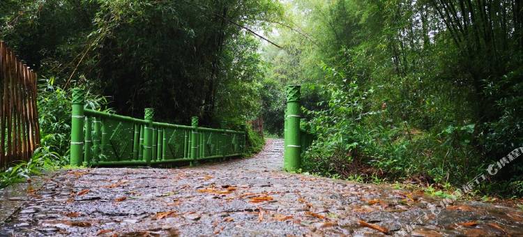 阳朔刘姐民宿Hotel图片