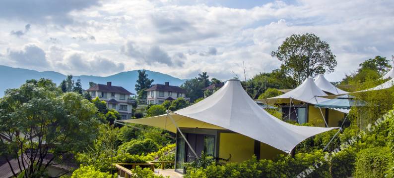 贺州温泉鸟巢酒店图片