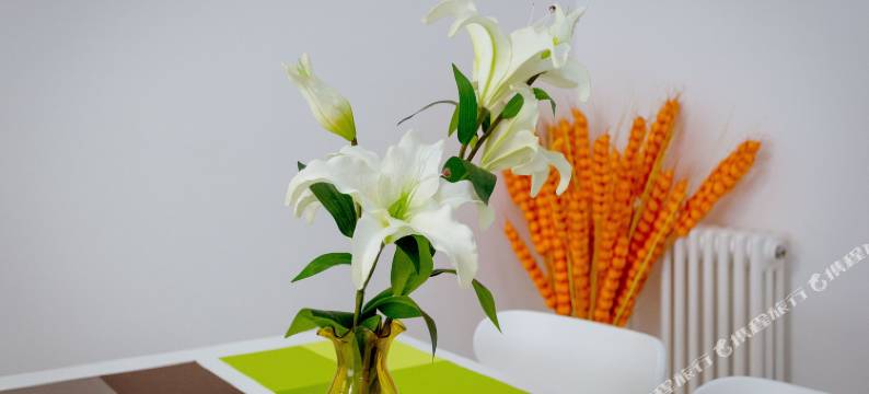 西安秦悦公寓(瓦胡同村分店)图片