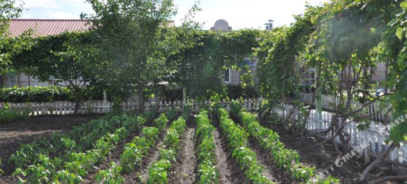 镜泊湖鑫源渔村宾馆图片