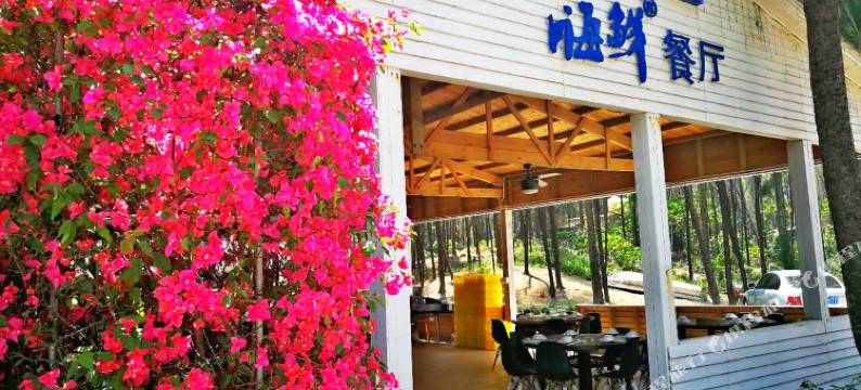 夏日沙滩度假村(深圳西冲西涌店)图片