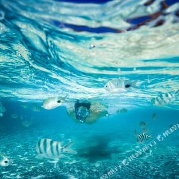 马尔代夫卡尼岛6日5晚自由行