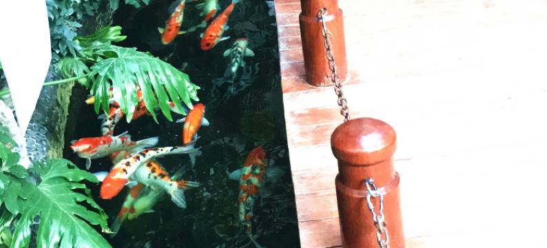 花千墅民宿(秦皇岛富立半岛店)图片