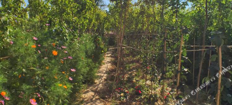 Q加·霍尔果斯六十二团雅富达商务酒店图片