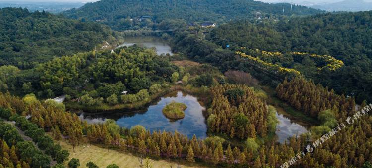 半山问花·度假民宿(长兴仙山湖景区店)图片