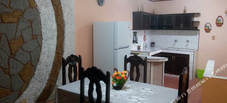 阿米斯塔德别墅(Villa la Amistad)图片