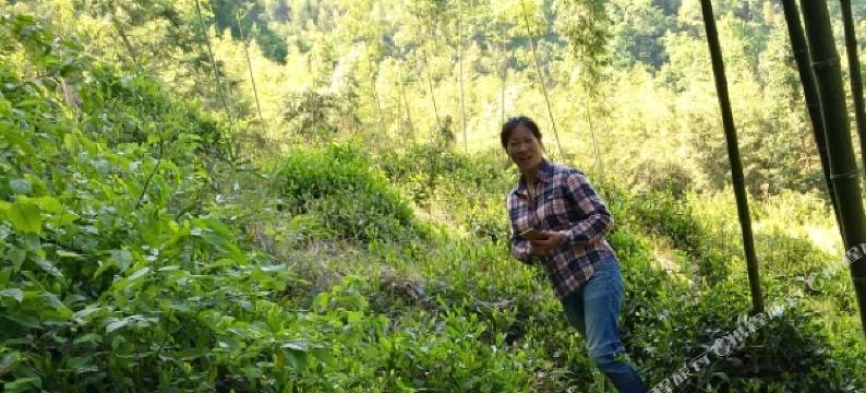 杭州秋韵农家乐图片