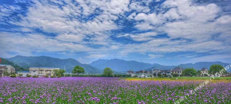 象山山涧·花喜度假民宿图片