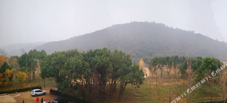 长兴怡杏居民宿图片