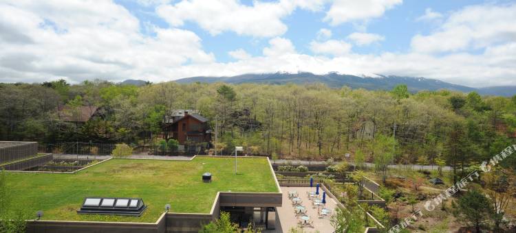 轻井泽俱乐部酒店轻井泽1130-休伊特度假村(Karuizawakurabu Hotel 1130 Hewitt Resort)图片