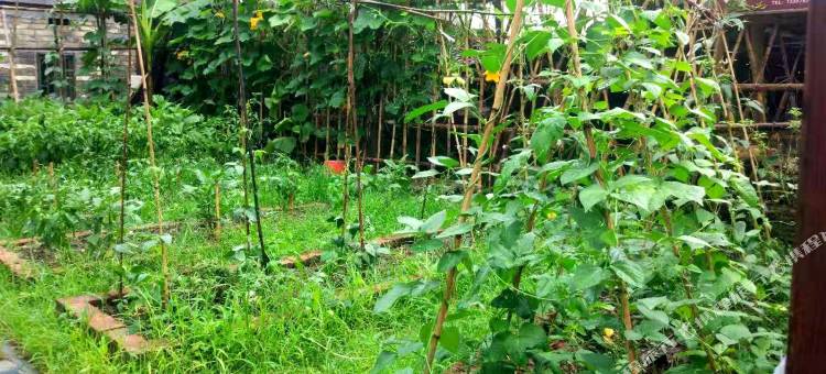 婺源志善堂(李坑景区店)图片