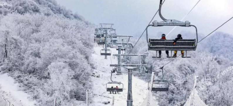 太白水木清华度假酒店图片