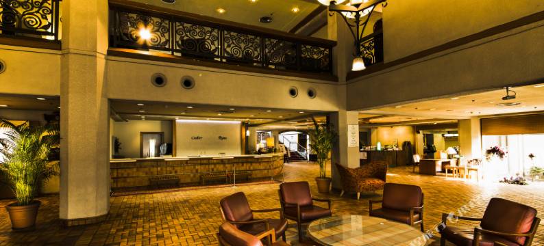 大阪千里阪急酒店(Senri Hankyu Hotel Osaka)图片