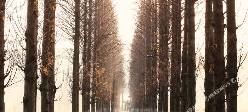 莫干山秋田布谷·童话世界民宿图片