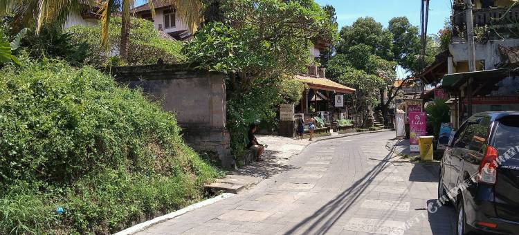 The Runik by GenuineHost图片