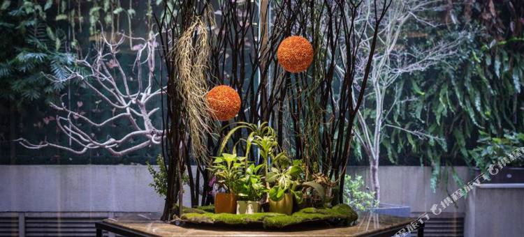 台北思泊客图片