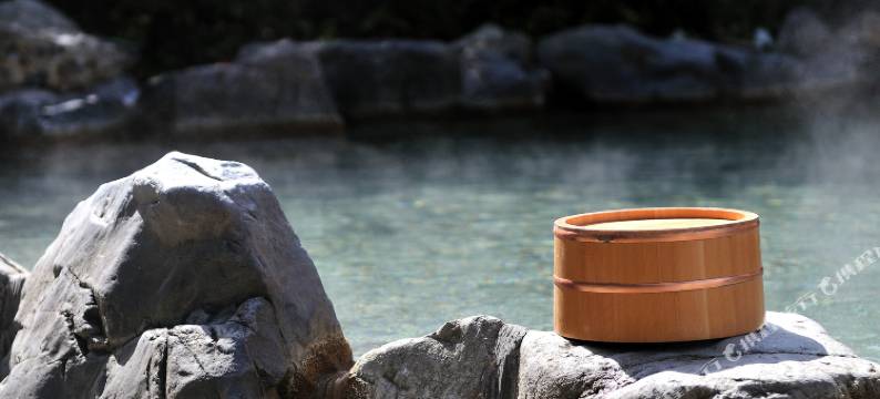 鹿儿岛沙蒸温泉指宿白水馆(Kagoshima Sunamushi Onsen Ibusuki Hakusuikan)图片