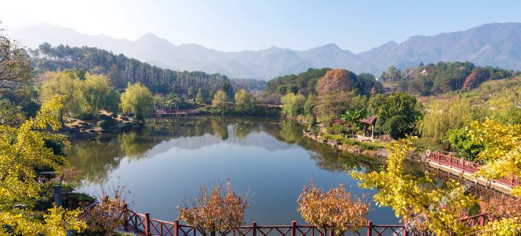 新东阳富嘟酒店图片