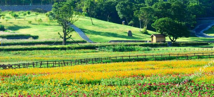 舟山朱家尖风林雅居民宿图片