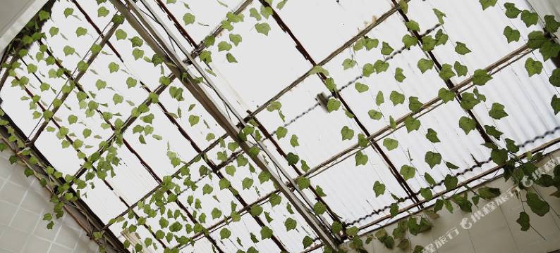 朋来宾馆(南阳火车站店)图片