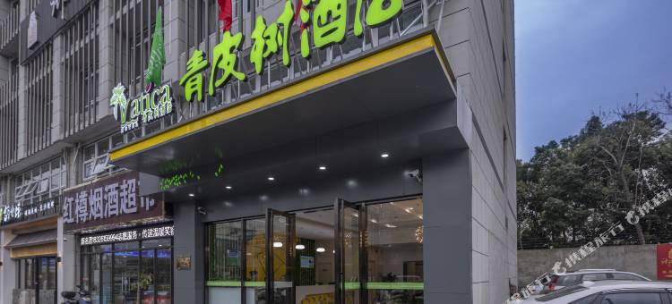青皮树酒店(合肥岳西路新粮仓店)图片