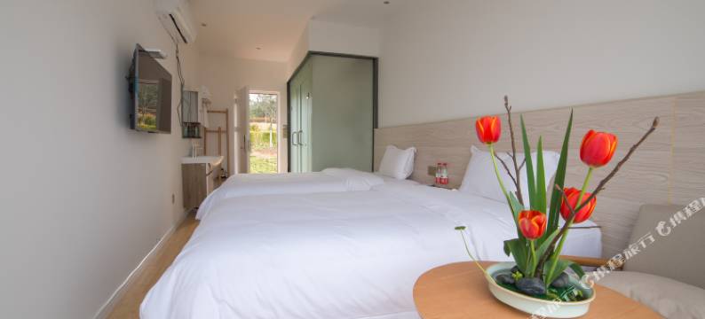 龙虎山花语美墅民宿图片