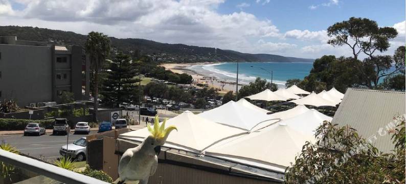 洛恩世界(Lorne World)图片