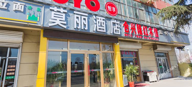 青岛莫丽商旅快捷酒店图片