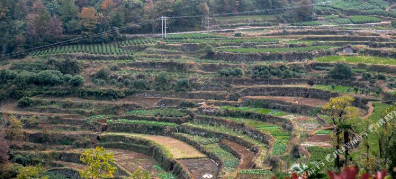 磐安台门里民宿图片