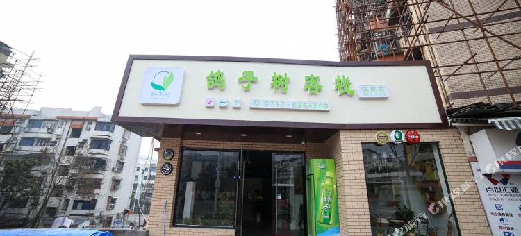 宜昌鸽子树青年旅舍图片