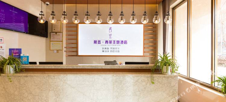 榆中陇鑫青菲主题酒店图片