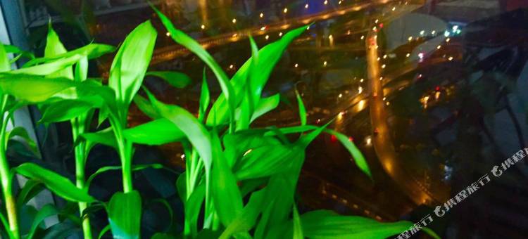 重庆飞鸟集青年旅舍(皇冠大扶梯店)图片