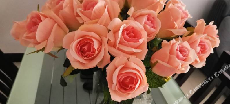 西安木子雨香公寓图片