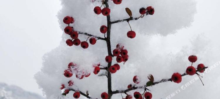绵阳安驿箱几酒店图片