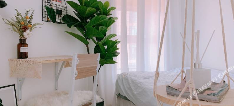 深圳艾伦之梦青年旅舍图片